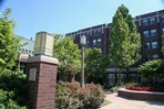 Loyola University - Simpson